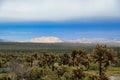 The Carrizo Badlands and Vallecito Mountains in the Anza-Borrego Desert, California