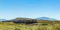 Union Pacific Freight Train in New Mexico