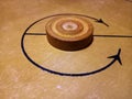 Carrom Piece on Playing Board