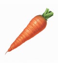 Carrot