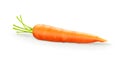 Carrot Royalty Free Stock Photo