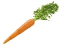 Carrot Royalty Free Stock Photo