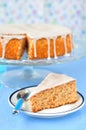 Carrot and Almond Cake Royalty Free Stock Photo