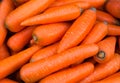 Carrot background. Macro. Organic food