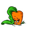 Carrot beauty character cartoon illustration