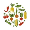 Carrot, beet, onion, corn, leaves, tomato, beans, chilli. Round food illustration with isolated vegetables. Color silhouette