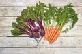 Carrot and beetroot bunch on white wood Royalty Free Stock Photo