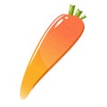 Carrot bright orange vegetable. vector illustration isolated on white background. Cute style illustration. clear carrot Royalty Free Stock Photo