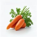 Carrot Bunch Isolated, Organic Vegetable Crop, Fresh Carrot Bunch on White Background Royalty Free Stock Photo