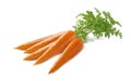 Carrot bunch isolated on white background Royalty Free Stock Photo