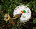 Carrot cake in the compost bin