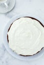 Carrot cake with cream on light background. Selective focus.Top view. Place for text Royalty Free Stock Photo