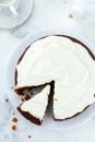 Carrot cake with cream on light background. Selective focus.Top view. Place for text Royalty Free Stock Photo