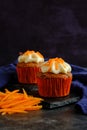 carrot cakes in close-up on a dark background Royalty Free Stock Photo