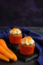 carrot cakes in close-up on a dark background Royalty Free Stock Photo