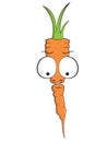 Carrot Cartoon Mascot vegetable character