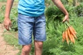 Carrot in child hand Royalty Free Stock Photo