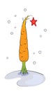 Carrot Christmas Tree