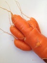 Carrot claw