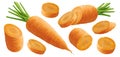 Carrot collection isolated on white background with clipping path