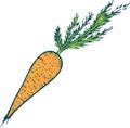 Carrot coloring page hand drawn illustration for adult and child Royalty Free Stock Photo