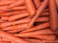 Carrots, daucus carota,the root vegetable.
