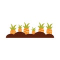 Carrot cultivation isolated icon Royalty Free Stock Photo