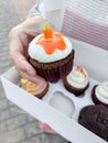 Carrot Cupcake with Cream Cheese Frosting Royalty Free Stock Photo