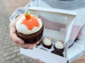 Carrot Cupcake with Cream Cheese Frosting Royalty Free Stock Photo