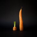 Carrot cut in two on dark background Royalty Free Stock Photo