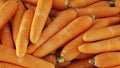 Background of fresh carrot on the market stall.