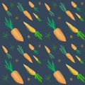 carrot and drawing Royalty Free Stock Photo