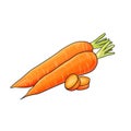 Carrot