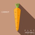Carrot flat icon illustration with long shadow