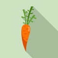 Carrot food icon, flat style