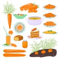 Carrot food products vector illustration. Dishes prepared from carrots, carrot cake, pie, soup, salad and juice. Carrots Royalty Free Stock Photo