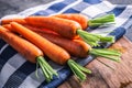 Carrot. Fresh Carrots bunch. Baby carrots. Raw fresh organic orange carrots. Healthy vegan vegetable food Royalty Free Stock Photo