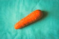 Carrot