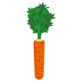 Carrot fresh vegetable icon, vector illustration