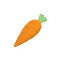 Carrot fresh vegetables vector