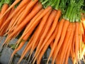 Carrot from garden Royalty Free Stock Photo