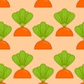 Carrot grow seamless pattern. Vegetable on garden bed background Royalty Free Stock Photo