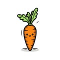 Carrot hand-drawn illustration. Carrot. Vector doodle style cartoon illustration