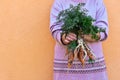 Carrot in hands Royalty Free Stock Photo