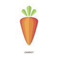 Carrot. Healthy tasty food. Orange Organic Fresh Vegetable.