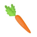 Carrot icon cartoon. Singe vegetables icon from the eco food set