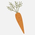 Carrot icon in a flat design on a white background. Vector illustration. Cartoon style vegetable for Logo, Grocery banner, Flyer.