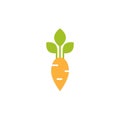 Carrot icon. Flat orange turnip vegetable iIsolated on white. Vector cooking illustration