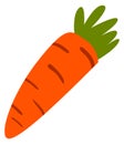 Carrot icon. Fresh root vegetable. Juicy food