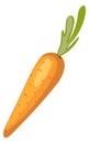 Carrot icon. Juicy orange fresh cartoon vegetable